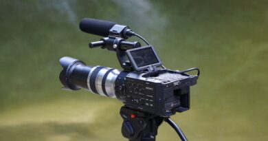 Od tradicije do savremene ishrane: zašto se kačamak vraća na velika vrata