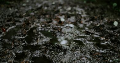 Radio sam u malinjaku da spasem majku: dan kada sam shvatio koliko život može biti nepredvidiv