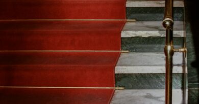 Kraljica u crvenom: Kako je jedna žena vratila dostojanstvo i promenila tok sopstvenog života