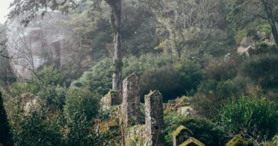 Odbačena i prodana za dvije kovanice: priča o ženi koja je sama izborila svoju slobodu