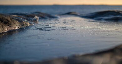 Ledena izdaja na minus četrdeset: pad sa palube u hladnu pravdu koja se ne može sakriti