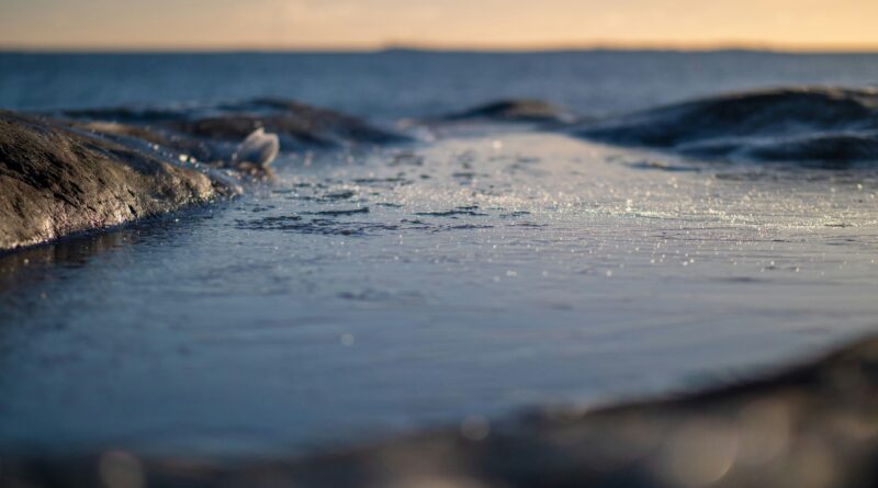 Ledena izdaja na minus četrdeset: pad sa palube u hladnu pravdu koja se ne može sakriti