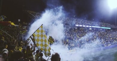 Sarajevo slavi uz pesmu Halida Bešlića: istorijski uspeh reprezentacije Bosne i Hercegovine