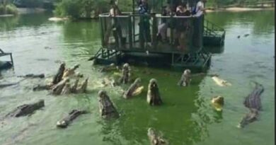 Skočio među krokodile za milion dolara – a onda otkrio ko ga je zapravo “pogurao”