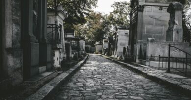 Nepoznati put do nasledstva: Tajna koja je promenila porodicu Kovačević