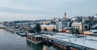Ceca progovorila o dugogodišnjim glasinama: “Najviše bih volela da je to istina”