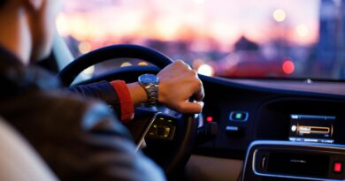 Recirkulacija zraka u automobilu: kada je koristiti, a kada isključiti za najbolju udobnost i kvalitet zraka