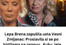 BRENA ODGOVORILA VESNI ZMIJANAC BEZ USTEZANJA: Stare izjave dve muzičke dive ponovo pokrenule raspravu o njihovom rivalstvu