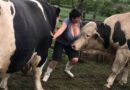 Elira se vratila do ograde koja ju je nekada ispunjavala strahom: Tada je shvatila koliko se promenila