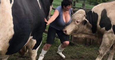 Elira se vratila do ograde koja ju je nekada ispunjavala strahom: Tada je shvatila koliko se promenila Elira se vratila do ograde koja ju je nekada ispunjavala strahom: Tada je shvatila koliko se promenila