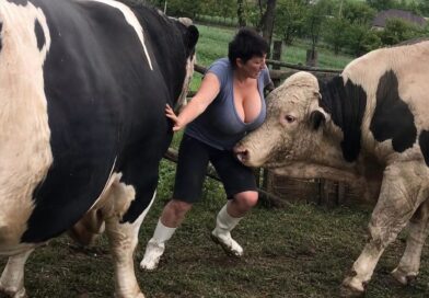 Elira se vratila do ograde koja ju je nekada ispunjavala strahom: Tada je shvatila koliko se promenila Elira se vratila do ograde koja ju je nekada ispunjavala strahom: Tada je shvatila koliko se promenila