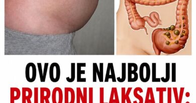 Prirodna mešavina od suvih šljiva i urmi može pomoći kod zatvora: Jednostavan recept od tri sastojka