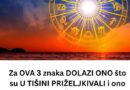 Šta znači kada pas stavi šapu na vas? Ovaj gest nije uvek samo znak ljubavi