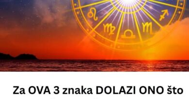 Šta znači kada pas stavi šapu na vas? Ovaj gest nije uvek samo znak ljubavi