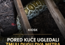 Porodica pronašla ogromnog pitona ispod baštenske šupe: Rendgen otkrio šta se nalazilo u njegovom stomaku