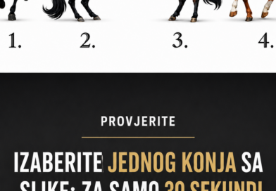 Izaberite jednog konja i otkrijte po čemu vas ljudi najviše pamte