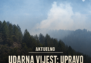 POŽAR NA TREBEVIĆU IZNAD SARAJEVA: Vatrogasci se satima bore sa vatrom u gustoj šumi iza repetitora