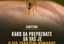 U Srbiji potvrđeno 11 slučajeva groznice Zapadnog Nila: Ove simptome ne treba zanemariti