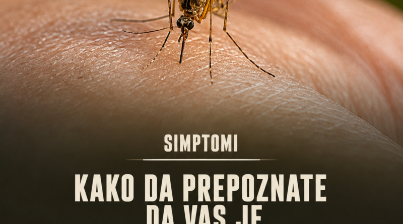 U Srbiji potvrđeno 11 slučajeva groznice Zapadnog Nila: Ove simptome ne treba zanemariti