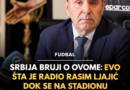 Rasim Ljajić napustio ložu tokom minuta ćutanja Ratku Mladiću: Tabloid ga napao zbog poteza na derbiju