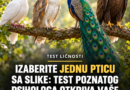 Test ličnosti sa četiri ptice: Izaberite jednu i otkrijte svoje najveće snage i slabosti