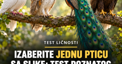Test ličnosti sa četiri ptice: Izaberite jednu i otkrijte svoje najveće snage i slabosti