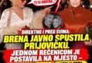 Aleksandra Prijović izgradila veliki koncertni uspeh: Publika i podrška iza scene u prvom planu