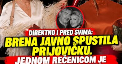 Aleksandra Prijović izgradila veliki koncertni uspeh: Publika i podrška iza scene u prvom planu