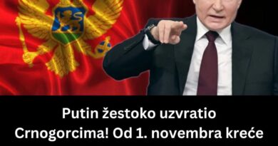 Promena viznog režima od 1. novembra: Zaharova najavila vize i za građane Crne Gore