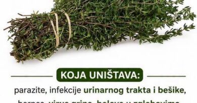Ulje divljeg origana: Između narodne tradicije i naučnih činjenica