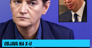 Brnabić tvrdi da se vodi „hajka za hapšenje Vučića“: Reagovala na pozive da bude saslušan