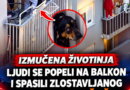 Građani spasili psa sa balkona u Zagrebu, poslodavac osumnjičenog najavio otkaz