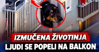 Građani spasili psa sa balkona u Zagrebu, poslodavac osumnjičenog najavio otkaz