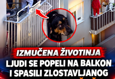 Građani spasili psa sa balkona u Zagrebu, poslodavac osumnjičenog najavio otkaz