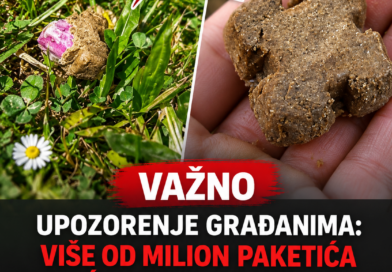 U Hrvatskoj 21. oktobra počinje vakcinacija lisica: Mamce pronađene u prirodi ne treba dirati