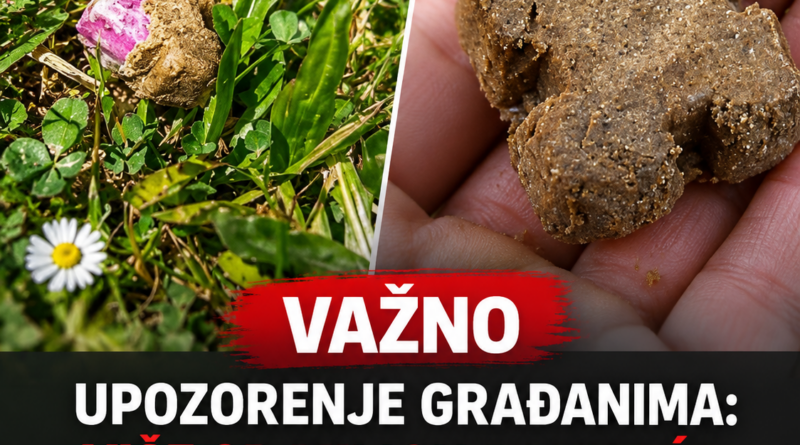 U Hrvatskoj 21. oktobra počinje vakcinacija lisica: Mamce pronađene u prirodi ne treba dirati